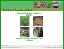 Tablet Screenshot of cassava.ch